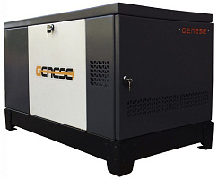 Газовый генератор Genese Pro 12000 Neva в кожухе ДизельЭнергоРесурс